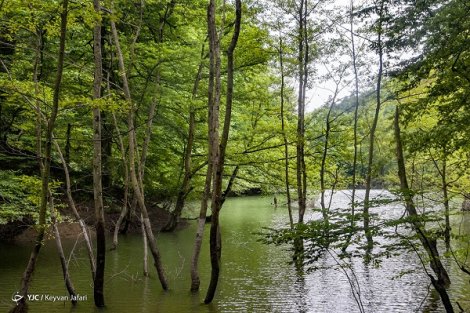 دریاچه چورت، طبیعت بکر مازندران